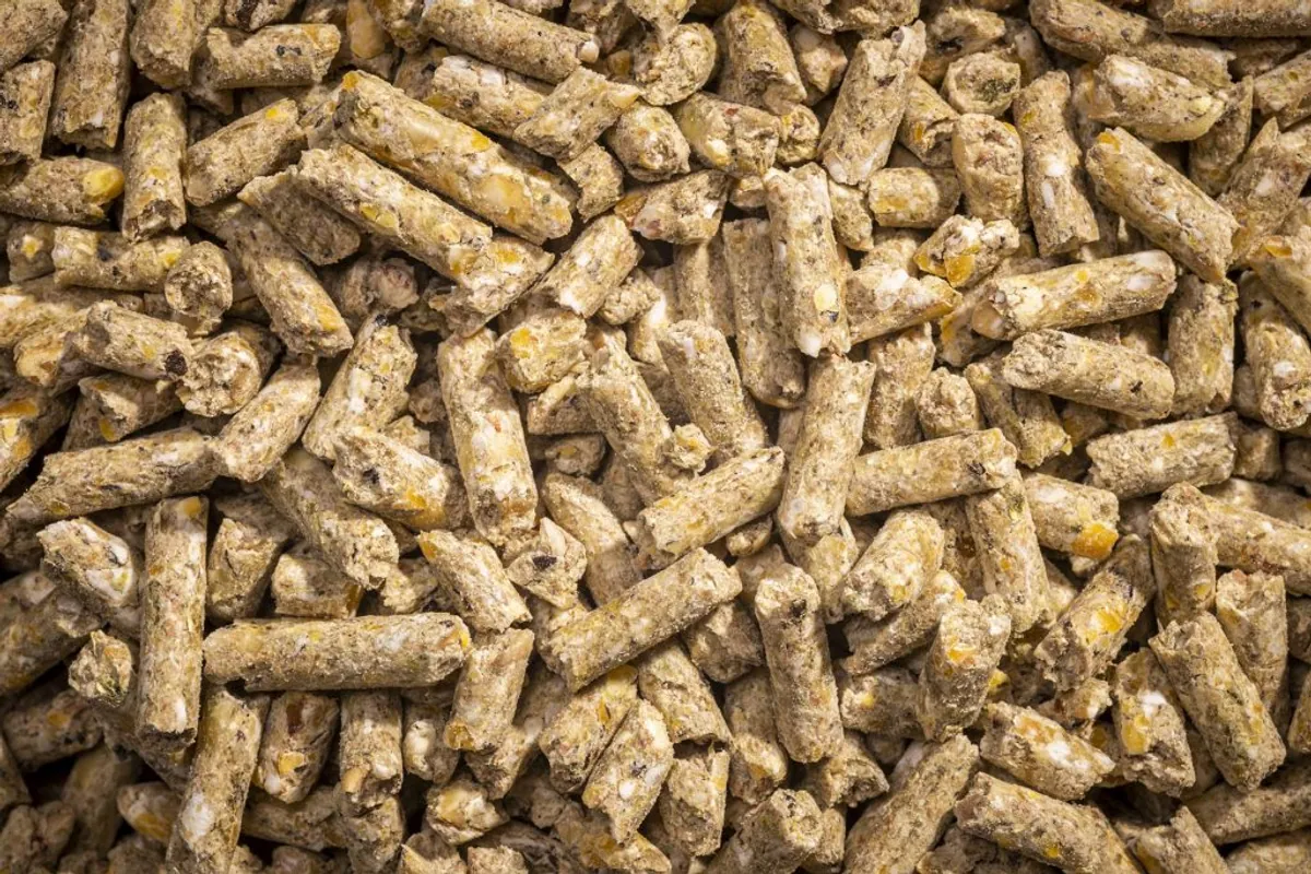 Close-up of animal and aquaculture nutrition feed pellets